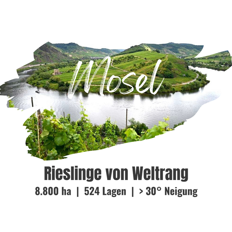 Mosel | DE