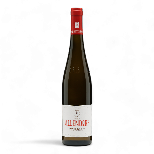 Jesuitengarten Riesling GG | Allendorf