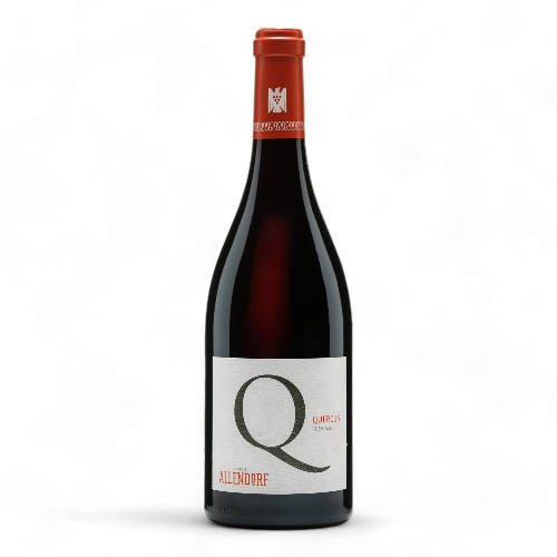 Quercus Pinot Noir | Allendorf