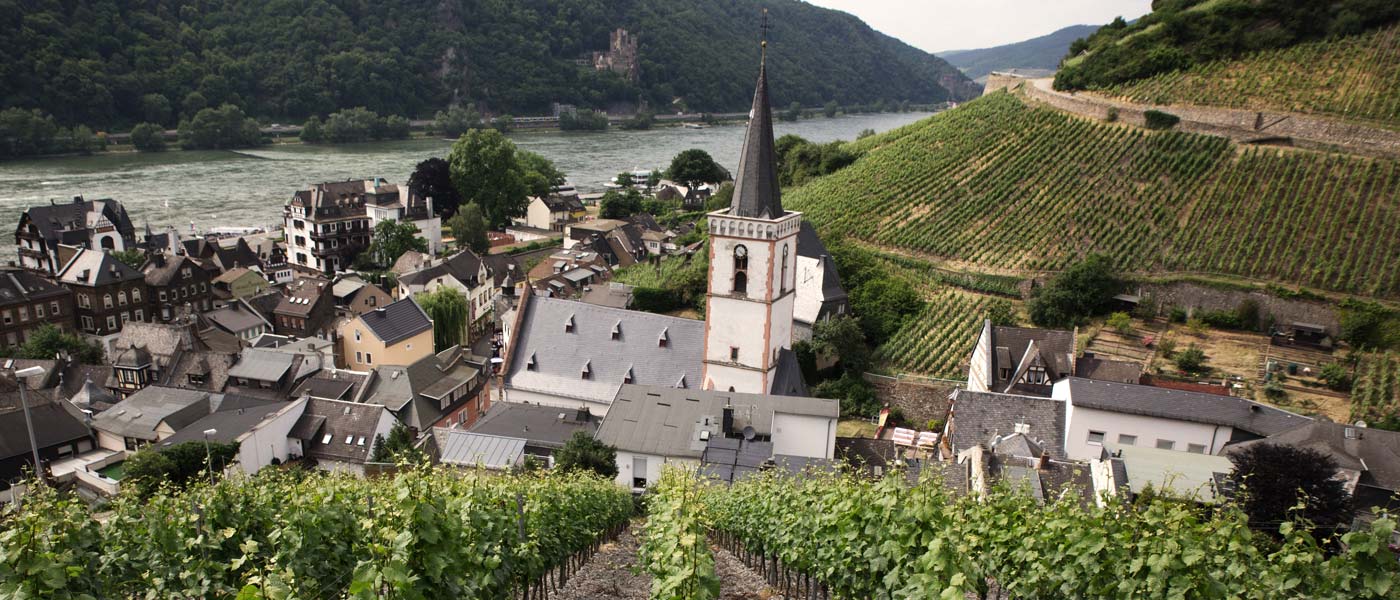 Cuvée Blanc | Allendorf
