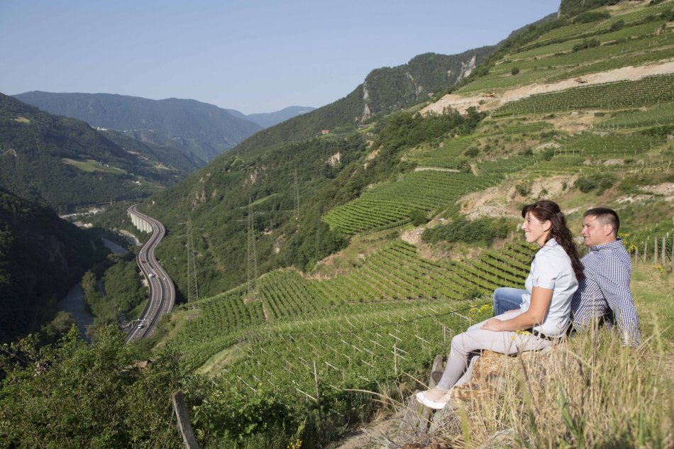 Weissburgunder Alto Adige DOC | Ebner