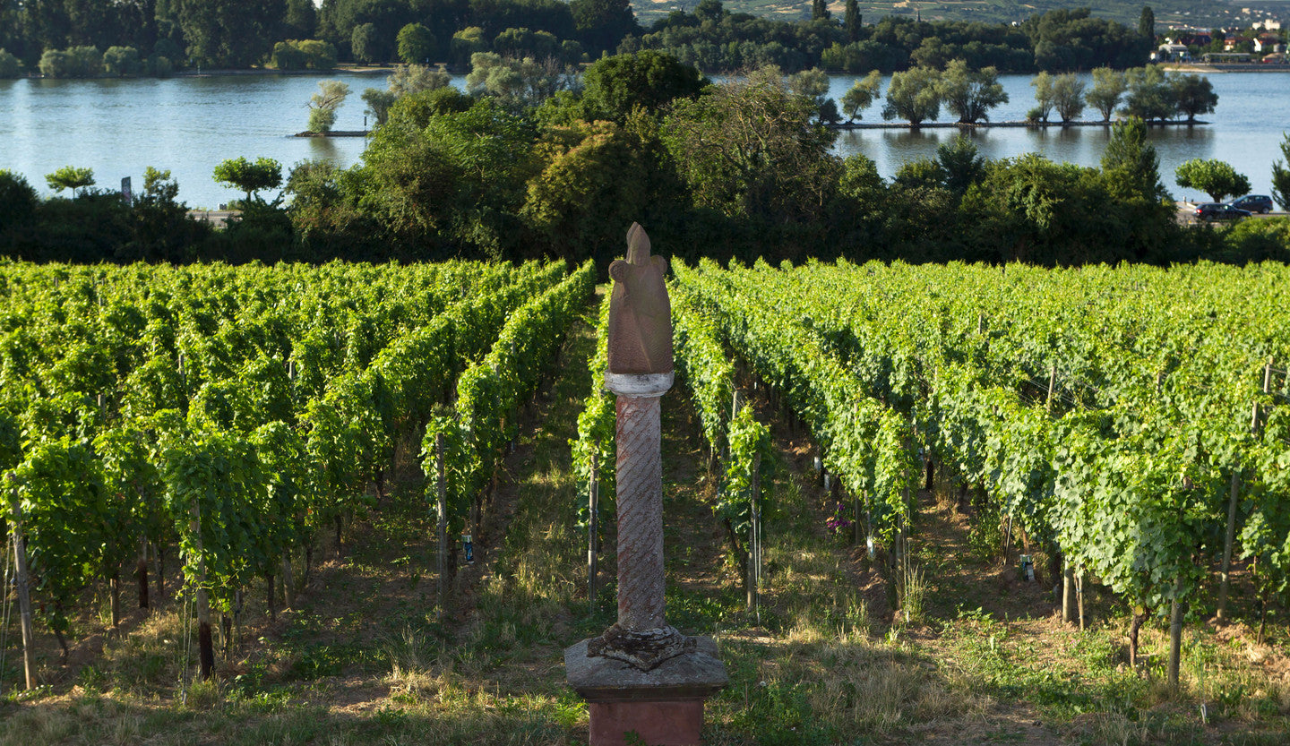 2018 St.Nikolaus Riesling GG | Peter Jakob Kühn