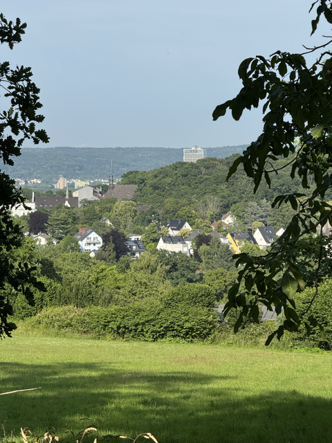 PLÄSIERCHEN - Die Französische Wein- & Stadttour Bonn