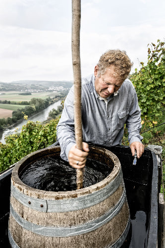 Stetten Scheurebe | Weingut am Stein