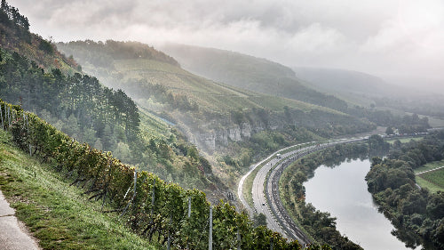 Stetten Scheurebe | Weingut am Stein