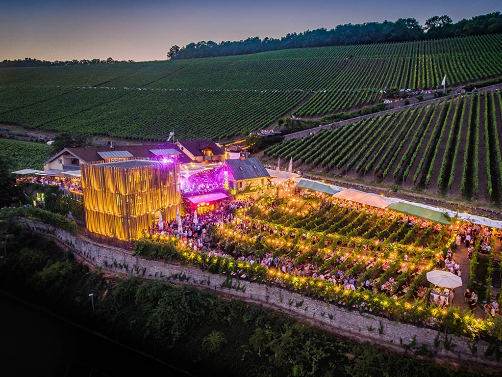 Stetten Scheurebe | Weingut am Stein