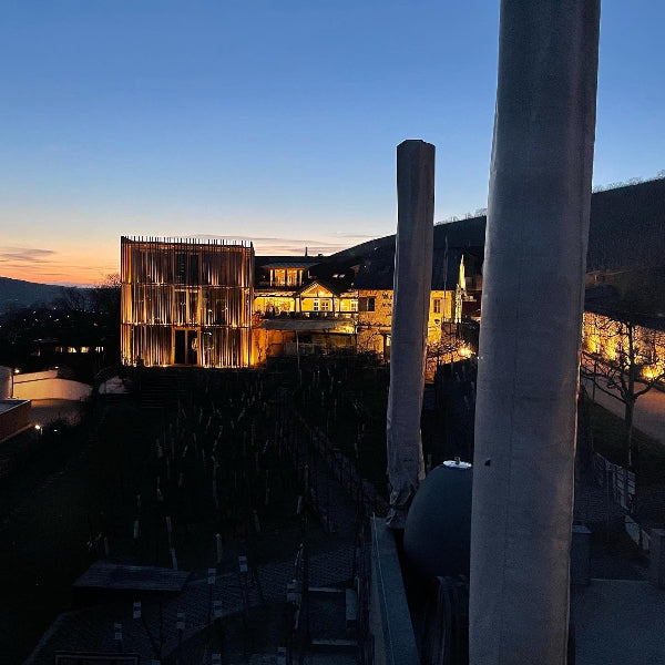 Stetten Scheurebe | Weingut am Stein