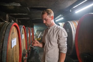 Sauvignon Blanc | Bicking & Bicking