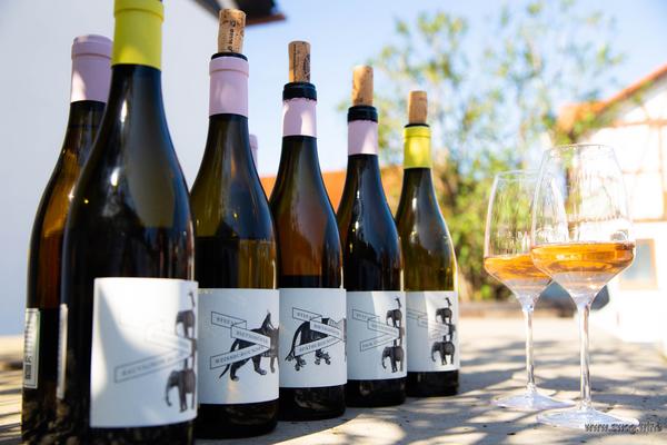 Sauvignon Blanc Reserve | Bietighöfer
