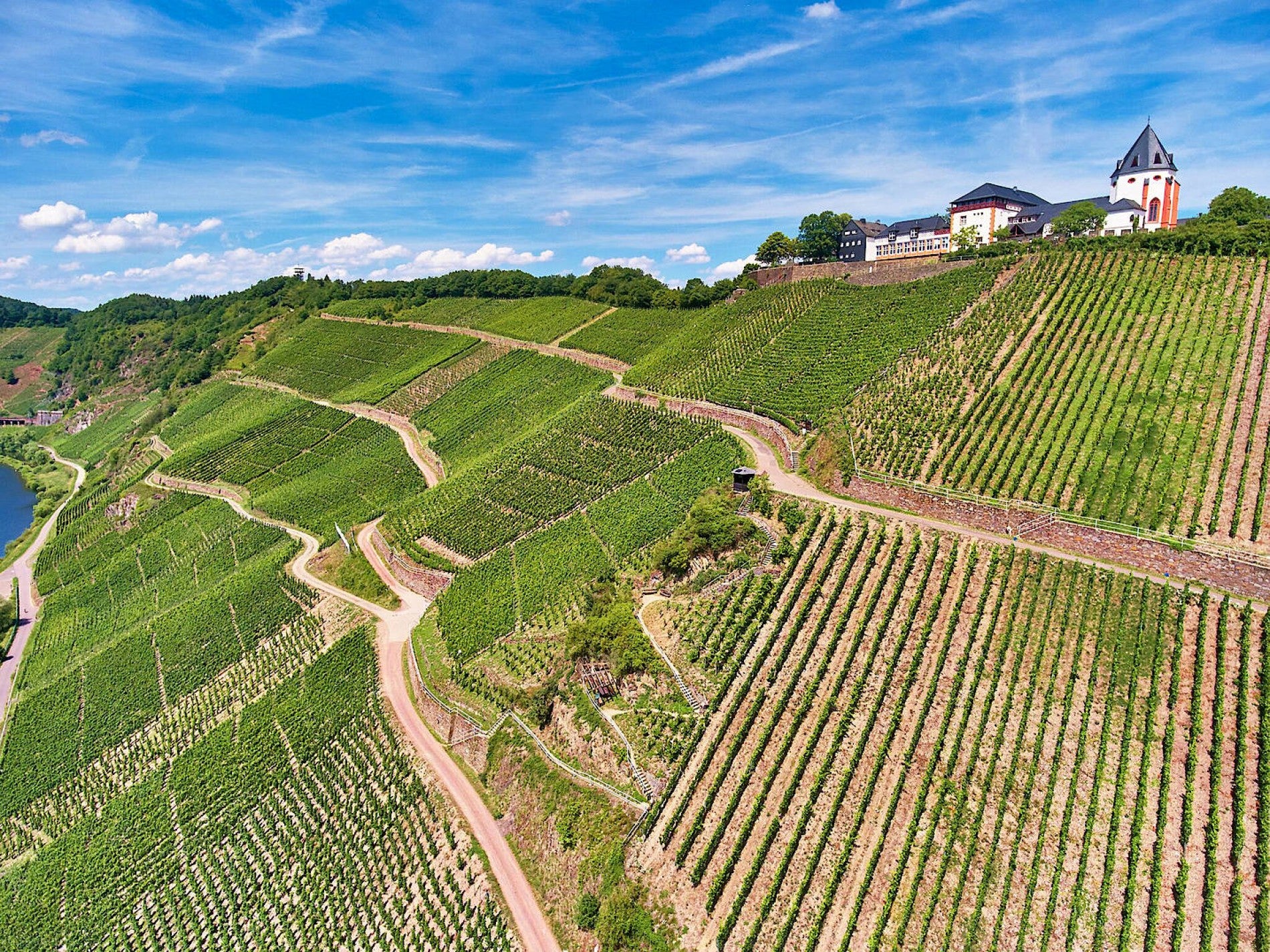 2014 Marienburg Fahrlay Riesling GG | Clemensbusch