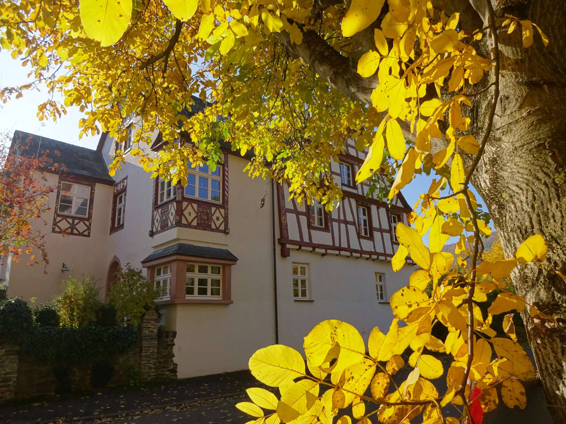 2014 Marienburg Fahrlay Riesling GG | Clemensbusch