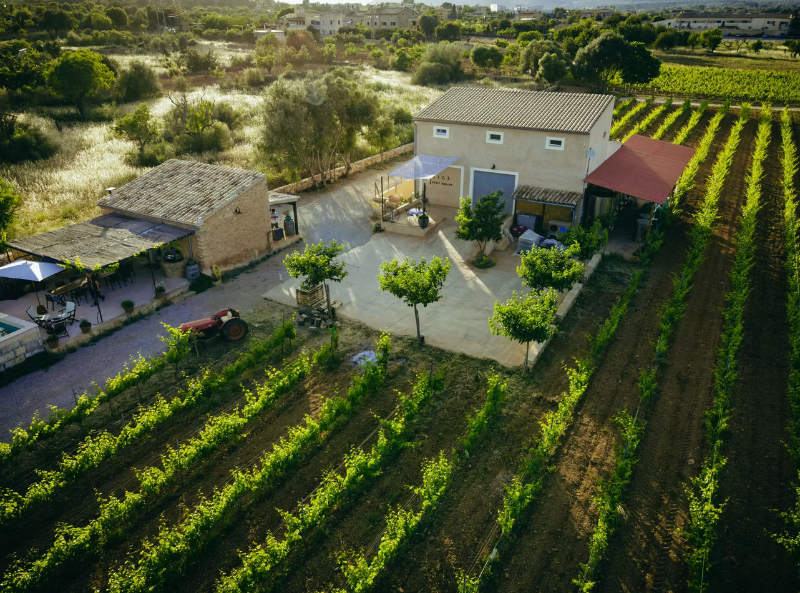 7103 Petit Celler