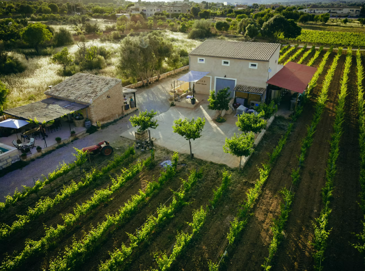 7103 Petit Celler