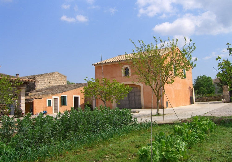 Bodega Can Majoral | Mallorca