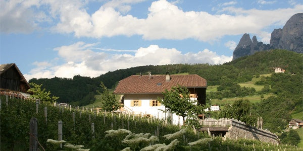 Weingut Ebner
