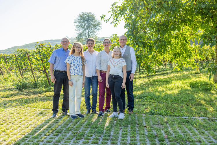 Weingut Schätzle | Kaiserstuhl