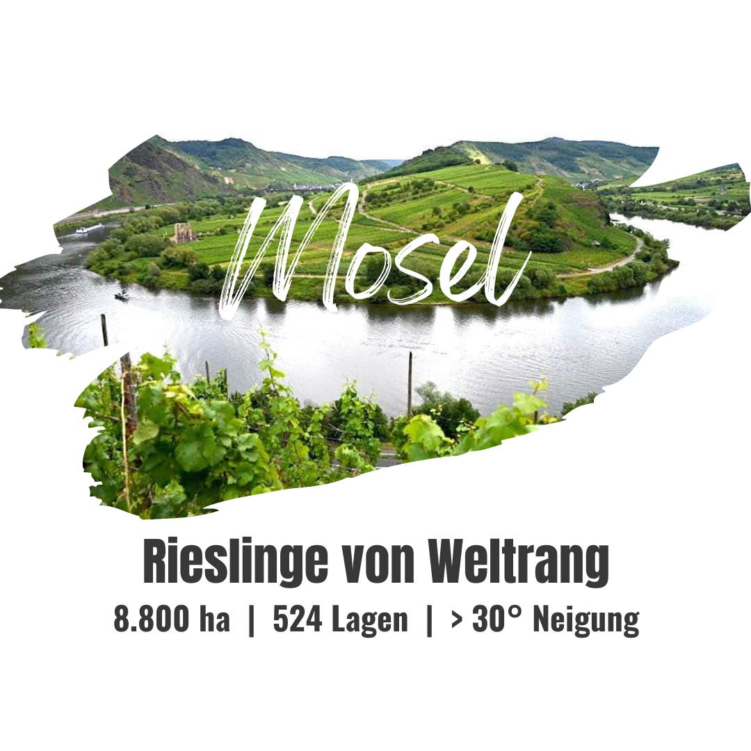 Mosel | DE