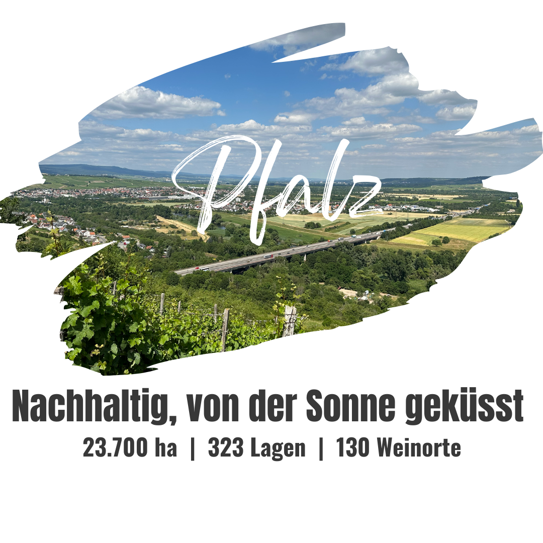 Pfalz | DE