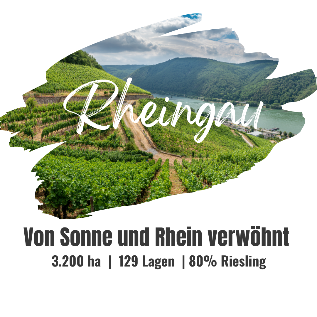 Rheingau | DE