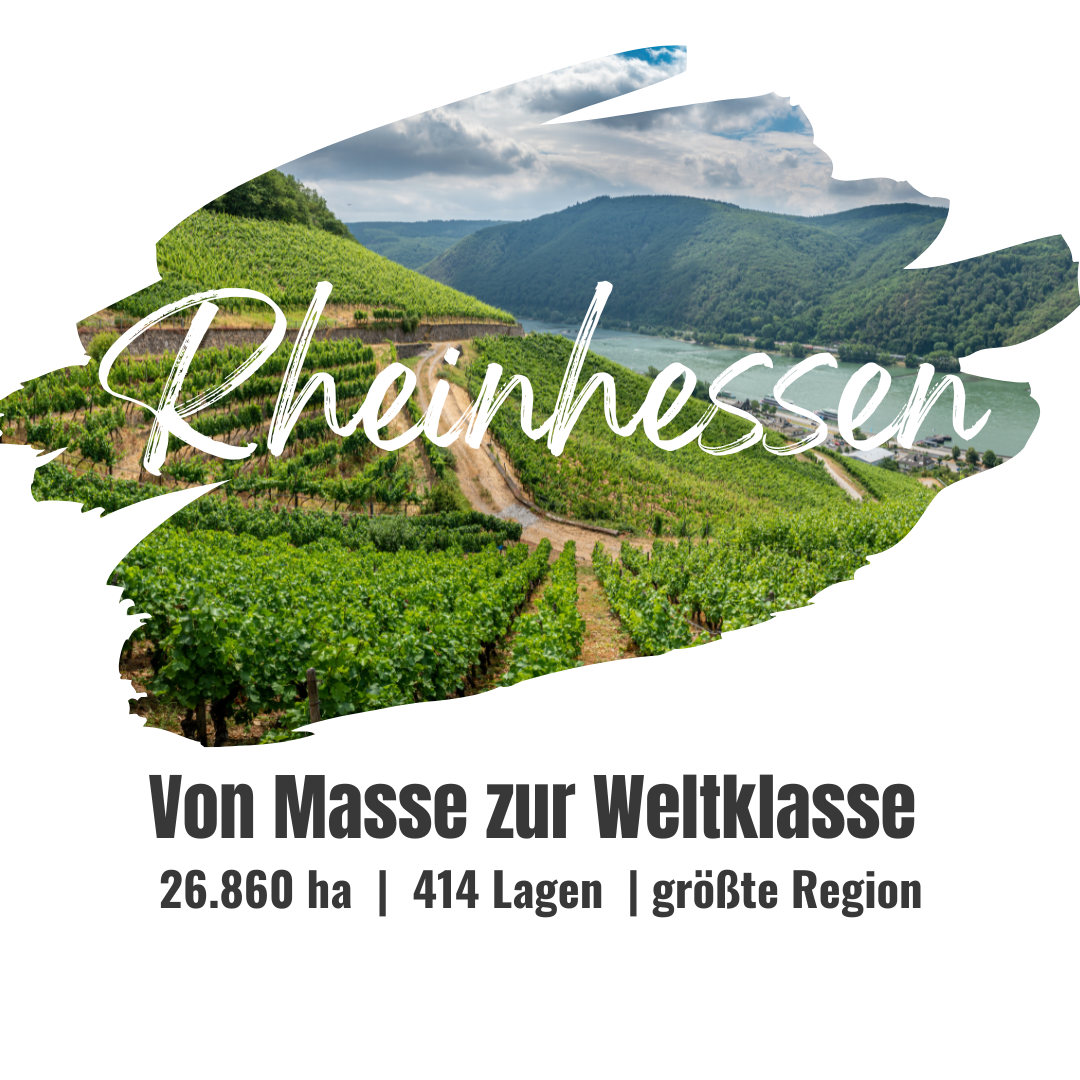 Rheinhessen | DE