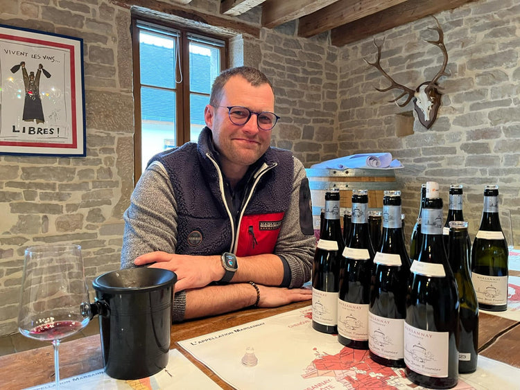 Domaine Jean Fournier