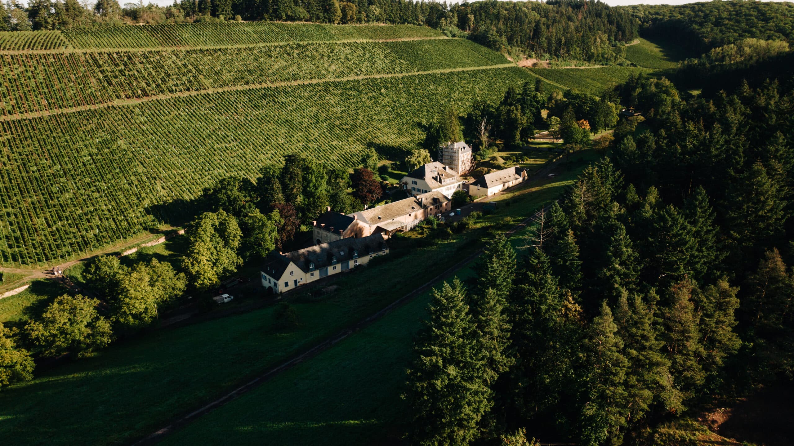 Weingut Karthäuserhof