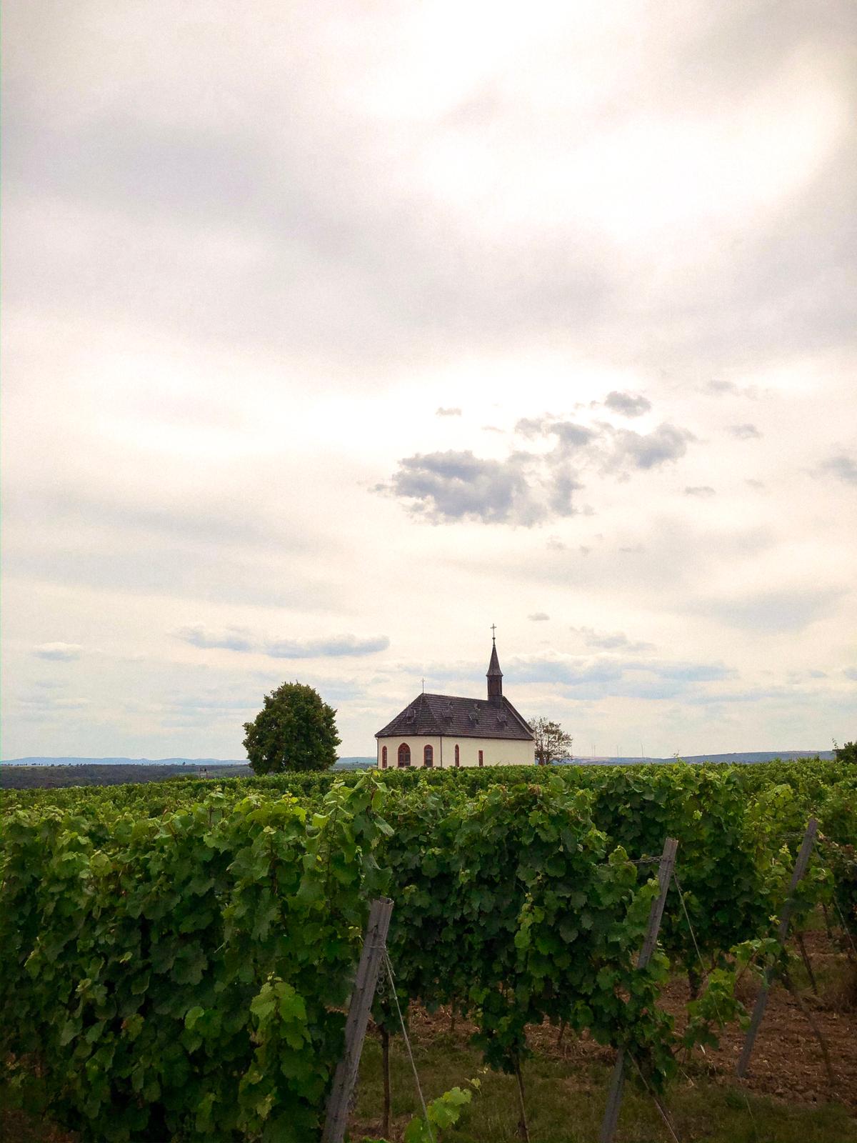 Abenheimer Weissburgunder & Chardonnay | Boxheimerhof