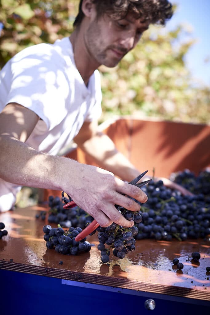 Kalimbula Cuvee | Benjamin Lanz