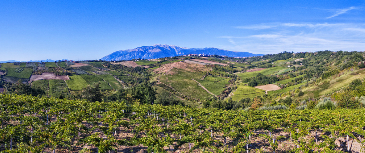 CIVITAS Pecorino Terre d Abruzzo IGP