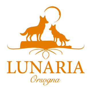 CIVITAS Pecorino Terre d Abruzzo IGP
